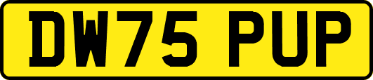 DW75PUP