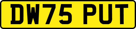 DW75PUT