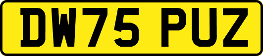 DW75PUZ