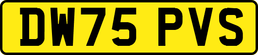 DW75PVS