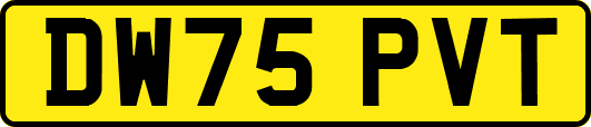 DW75PVT