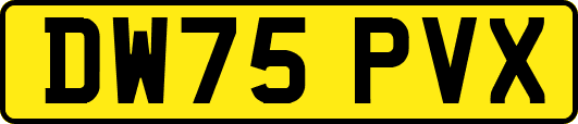 DW75PVX