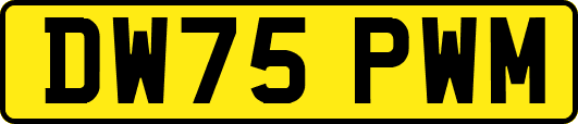 DW75PWM