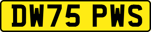 DW75PWS