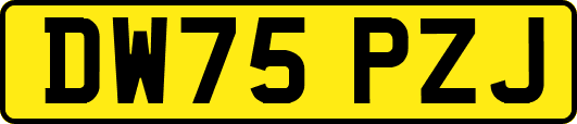 DW75PZJ