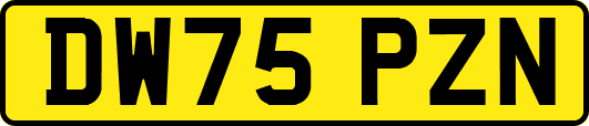 DW75PZN