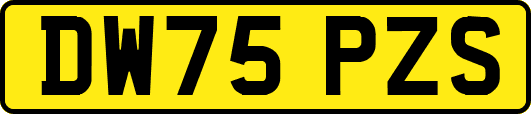 DW75PZS