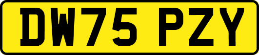 DW75PZY
