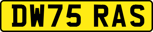 DW75RAS