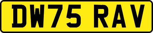 DW75RAV