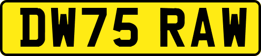 DW75RAW