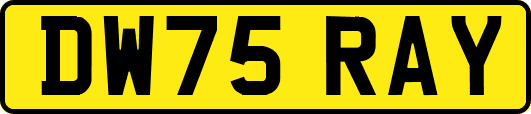 DW75RAY