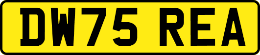 DW75REA