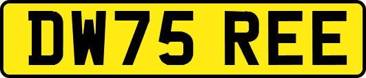 DW75REE