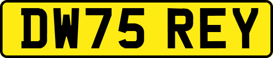 DW75REY