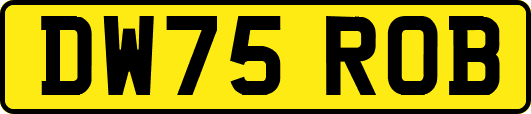 DW75ROB