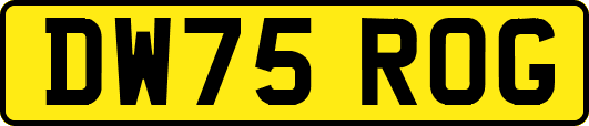 DW75ROG