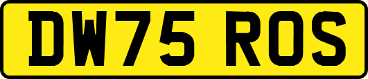 DW75ROS