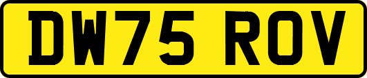 DW75ROV