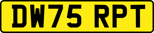 DW75RPT