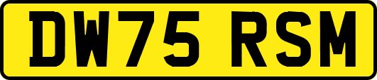 DW75RSM