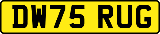 DW75RUG