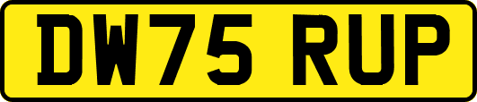 DW75RUP