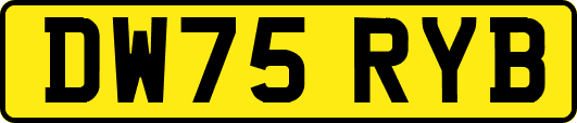 DW75RYB