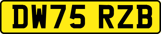 DW75RZB