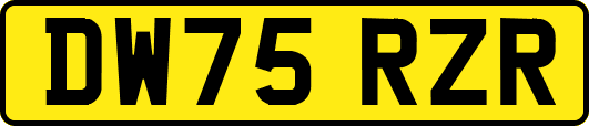 DW75RZR