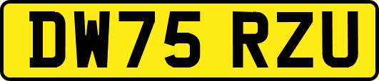 DW75RZU