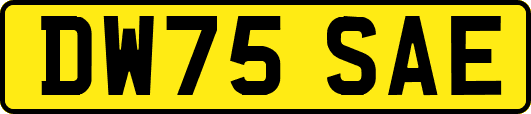 DW75SAE