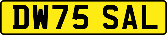 DW75SAL