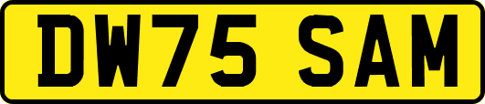 DW75SAM