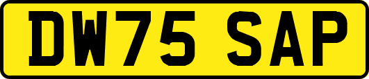 DW75SAP