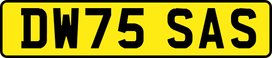 DW75SAS