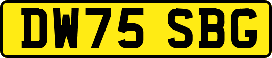 DW75SBG