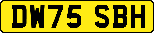 DW75SBH