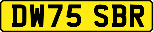 DW75SBR