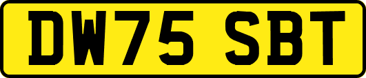 DW75SBT