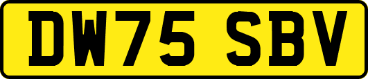 DW75SBV