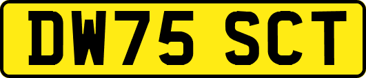 DW75SCT