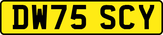 DW75SCY