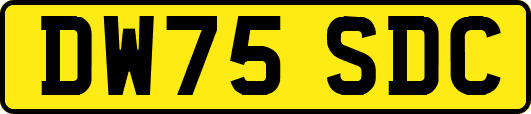 DW75SDC