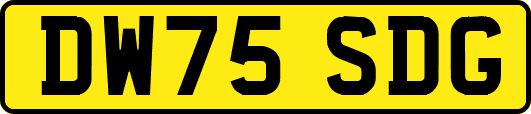 DW75SDG