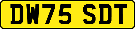 DW75SDT