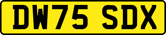 DW75SDX