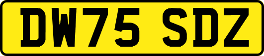DW75SDZ