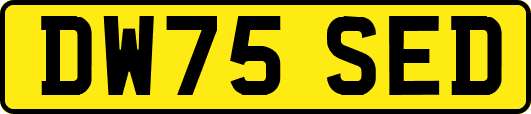 DW75SED
