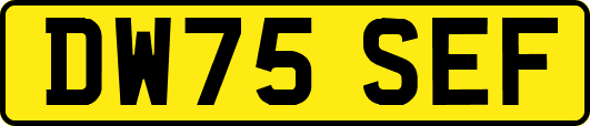DW75SEF